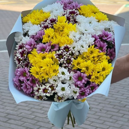 Букет из разноцветных хризантем - купить с доставкой в по Шабылкино