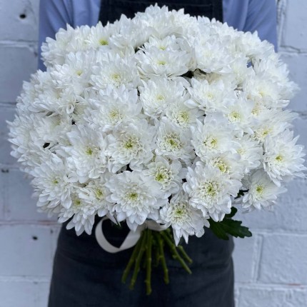 Белая кустовая хризантема - купить с доставкой в по Шабылкино