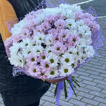 букет из розовой кустовой хризантемы - купить с доставкой в по Шабылкино