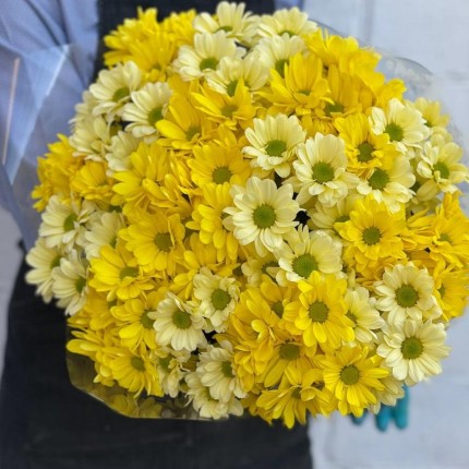 желтая кустовая хризантема - купить с доставкой в по Шабылкино